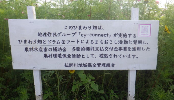 仏師川ひまわり畑