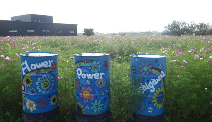 仏師川ひまわり畑