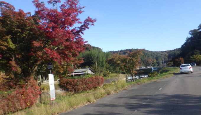 サラサドウダン街道