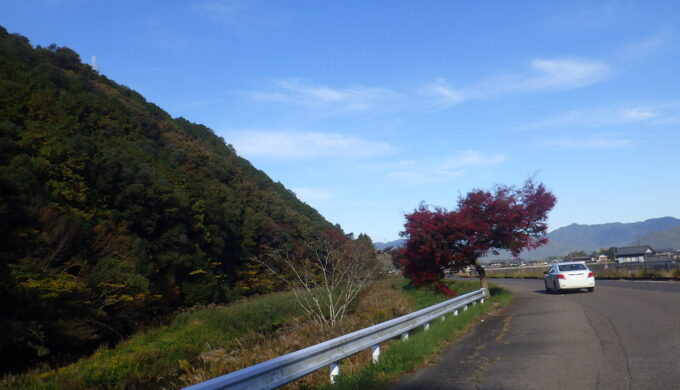 サラサドウダン街道