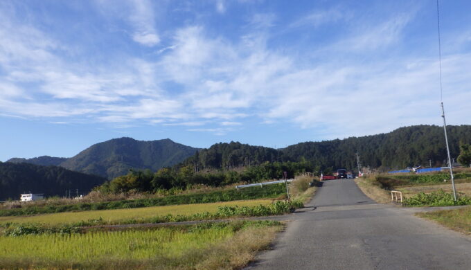 サラサドウダン街道