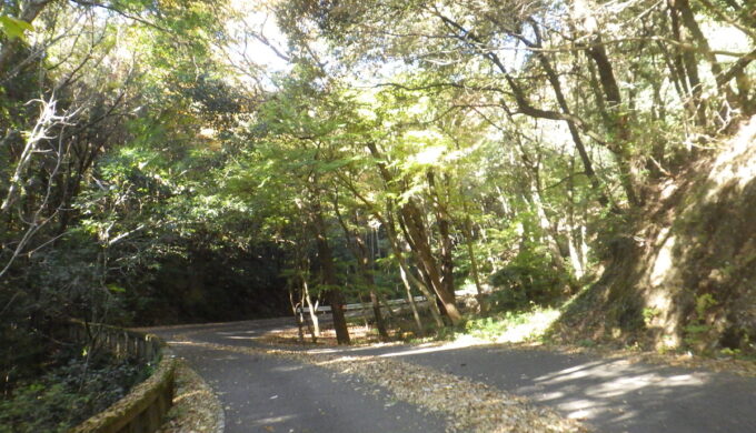 金華山ドライブウェイ