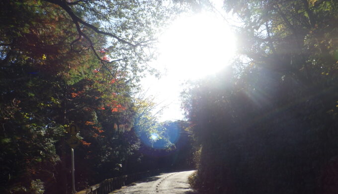 金華山ドライブウェイ
