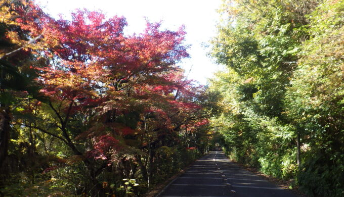 金華山ドライブウェイ