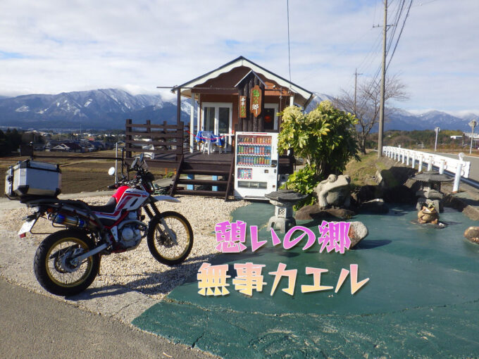 憩いの郷 無事カエル