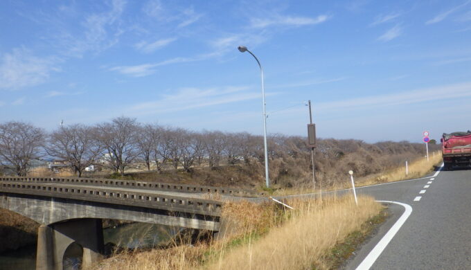 清流サルスベリ街道