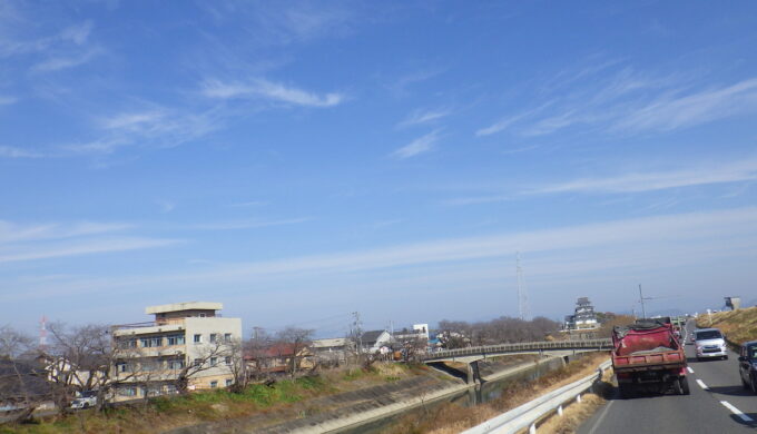 清流サルスベリ街道