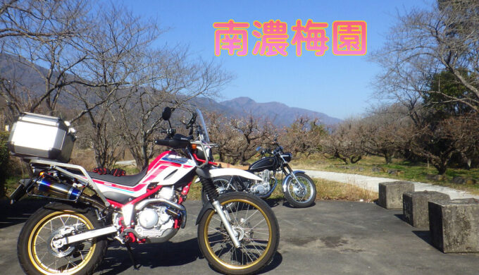 「羽根谷の早咲き桜」と「南濃梅園」（岐阜県海津市）