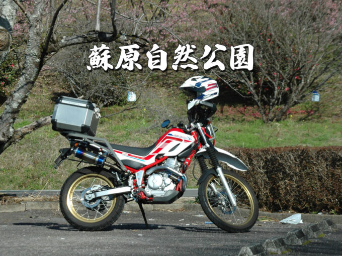 蘇原自然公園（岐阜県各務原市）季節の移ろいを感じられる散策スポット