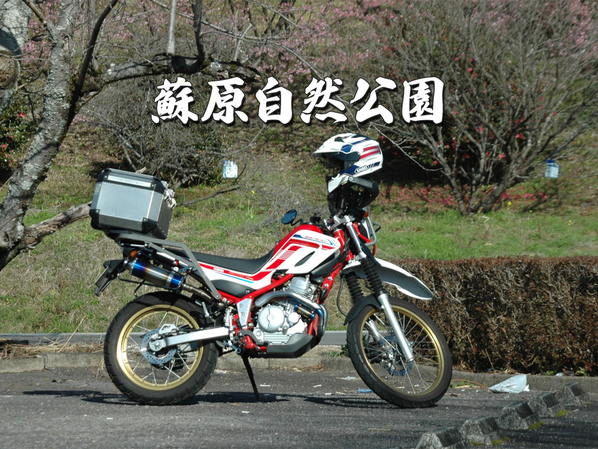 蘇原自然公園(岐阜県各務原市)季節の移ろいを感じられる散策スポット