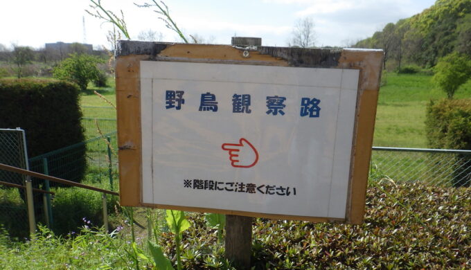 弥富野鳥園