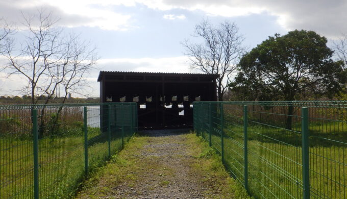 弥富野鳥園
