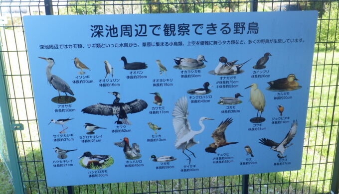 弥富野鳥園