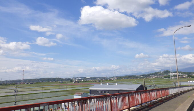 れんげ鑑賞会