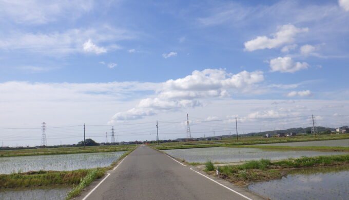 れんげ鑑賞会