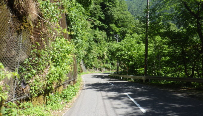 国道303号線