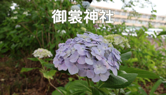 御裳神社（一宮市）気軽に楽しめるあじさいスポット