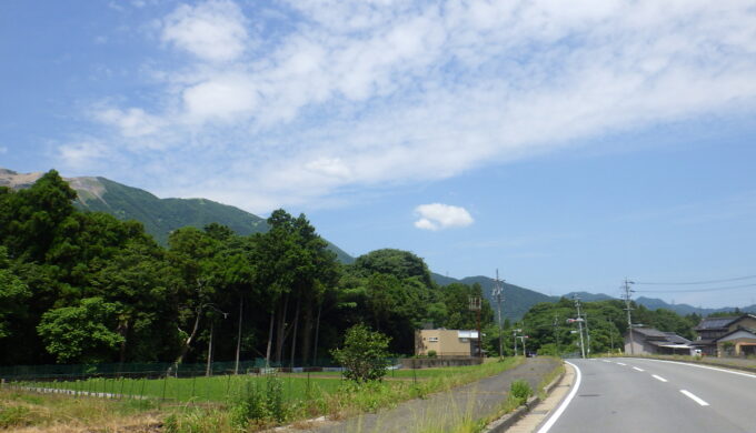 国道365号線