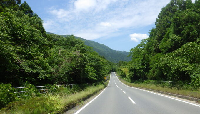 国道365号線