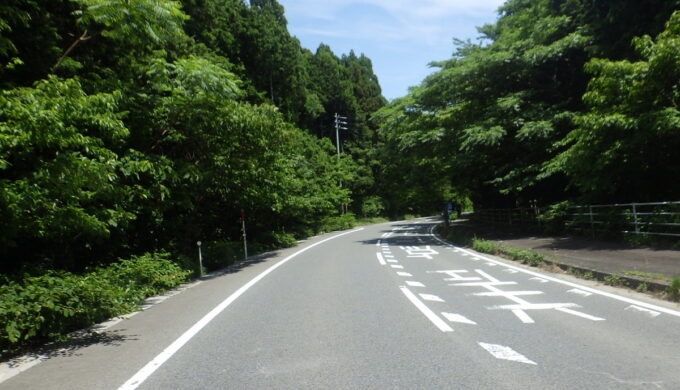 国道365号線