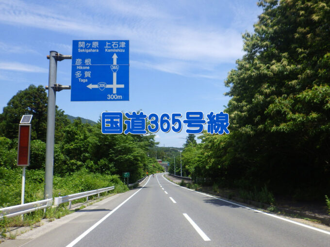 国道365号線