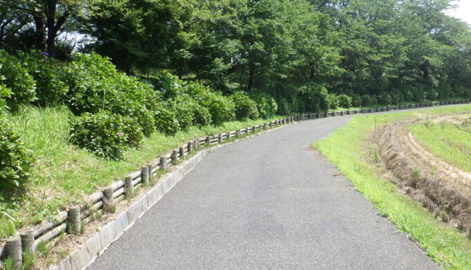 中将姫公園