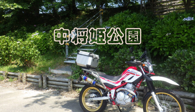 中将姫公園（岐阜県輪之内町）あじさいシーズン終盤の様子を確認