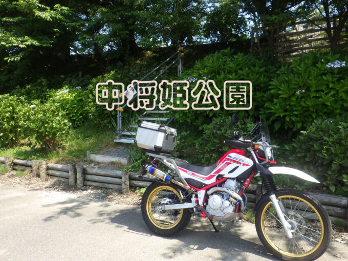 中将姫公園