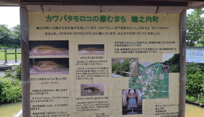 中将姫公園
