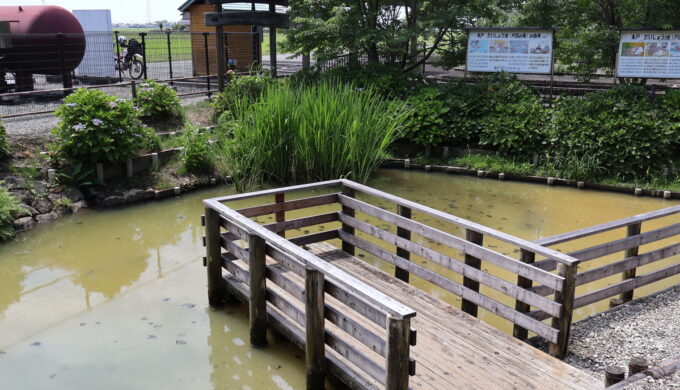 中将姫公園