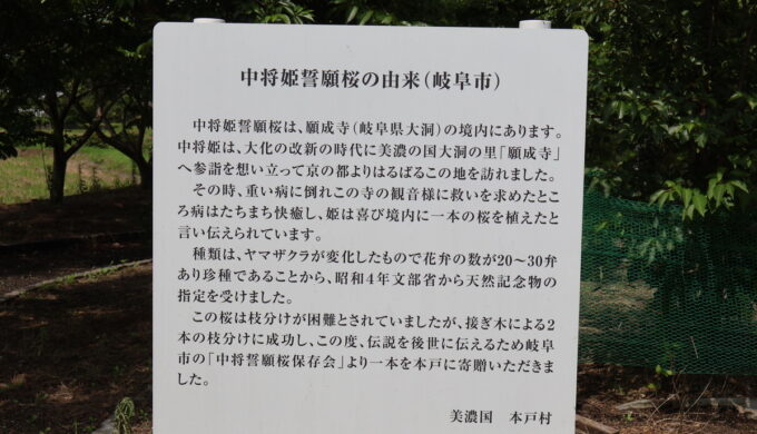 中将姫公園