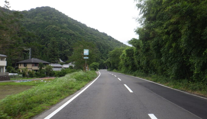 長良川百日紅街道