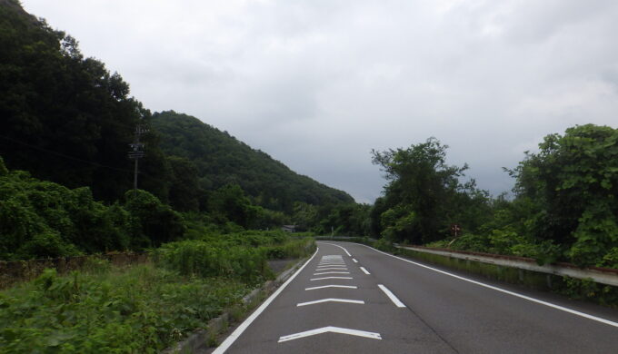 長良川百日紅街道