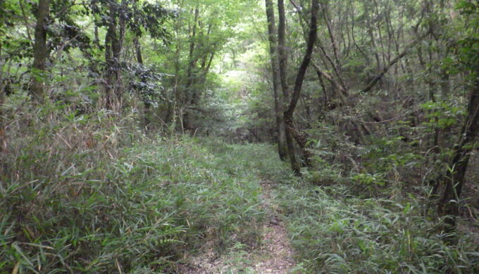 春日井の山の中を迷走