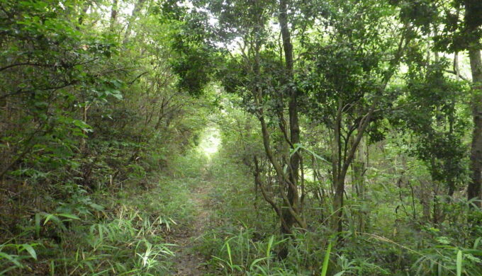 春日井の山の中を迷走