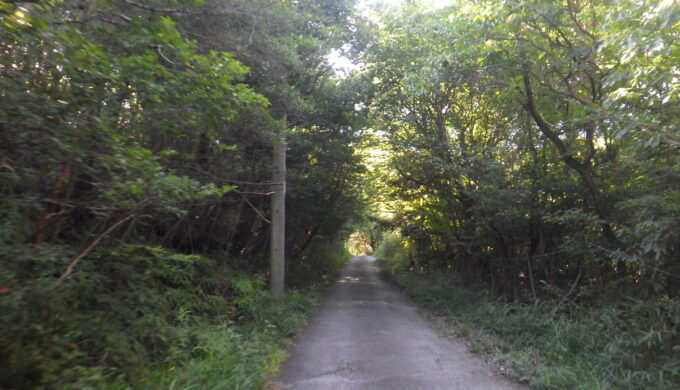 春日井の山の中を迷走