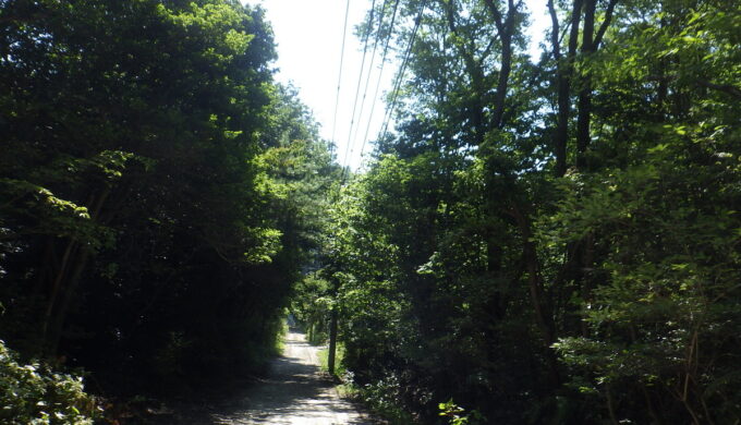 春日井の山の中を迷走
