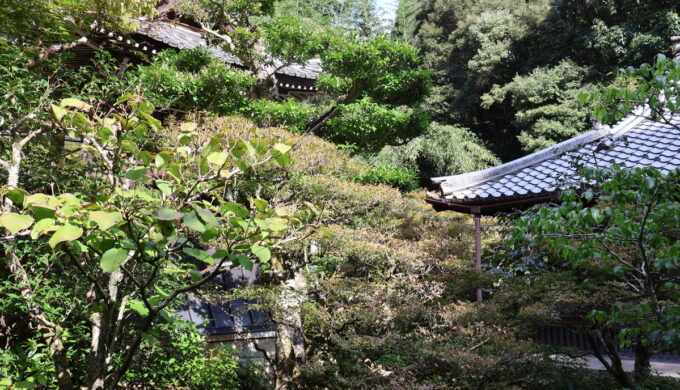 瑞雲山 龍翔寺