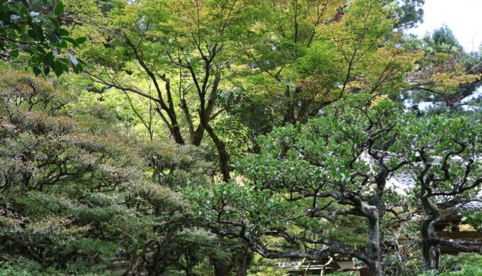 瑞雲山 龍翔寺